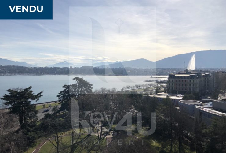 VENDU - Exceptionnel 2 pièces rénové face au lac - VENTE EN SIAL