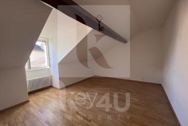 Magnifique appartement de 3 pièces