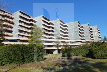 VENDU - Magnifique appartement lumineux et traversant