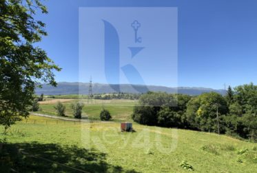 VENDU - Magnifique et lumineux duplex en rez-de-jardin