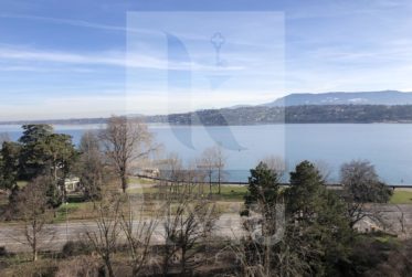 LOUÉ - Exceptionnel 2 pièces rénové face au lac