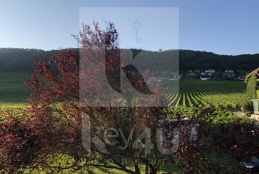 VENDU - Charmant appartement de 4.5 pièces au sein d'une petite résidence