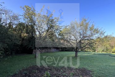 Magnifique maison bourgeoise du XIX siècle
