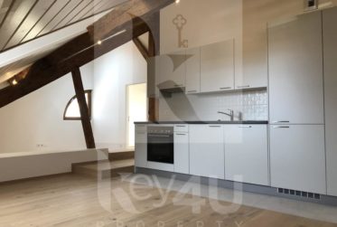 VENDU - Atypique et charmant appartement de 4 pièces au sein d'un corps de ferme