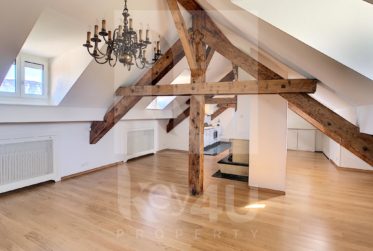 Magnifique loft de 2 pièces sous les combles - Quartier des Bastions dans un immeuble de standing