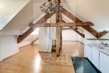 Magnifique loft de 2 pièces sous les combles - Quartier des Bastions dans un immeuble de standing