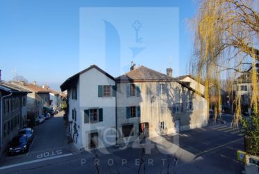 Atypique et charmant triplex avec terrasse