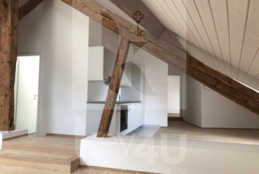 VENDU - Atypique et charmant appartement de 4 pièces au sein d'un corps de ferme